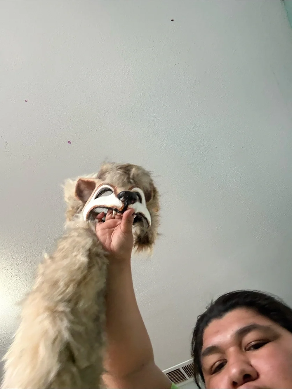 Hand made Wolf Dog Mask